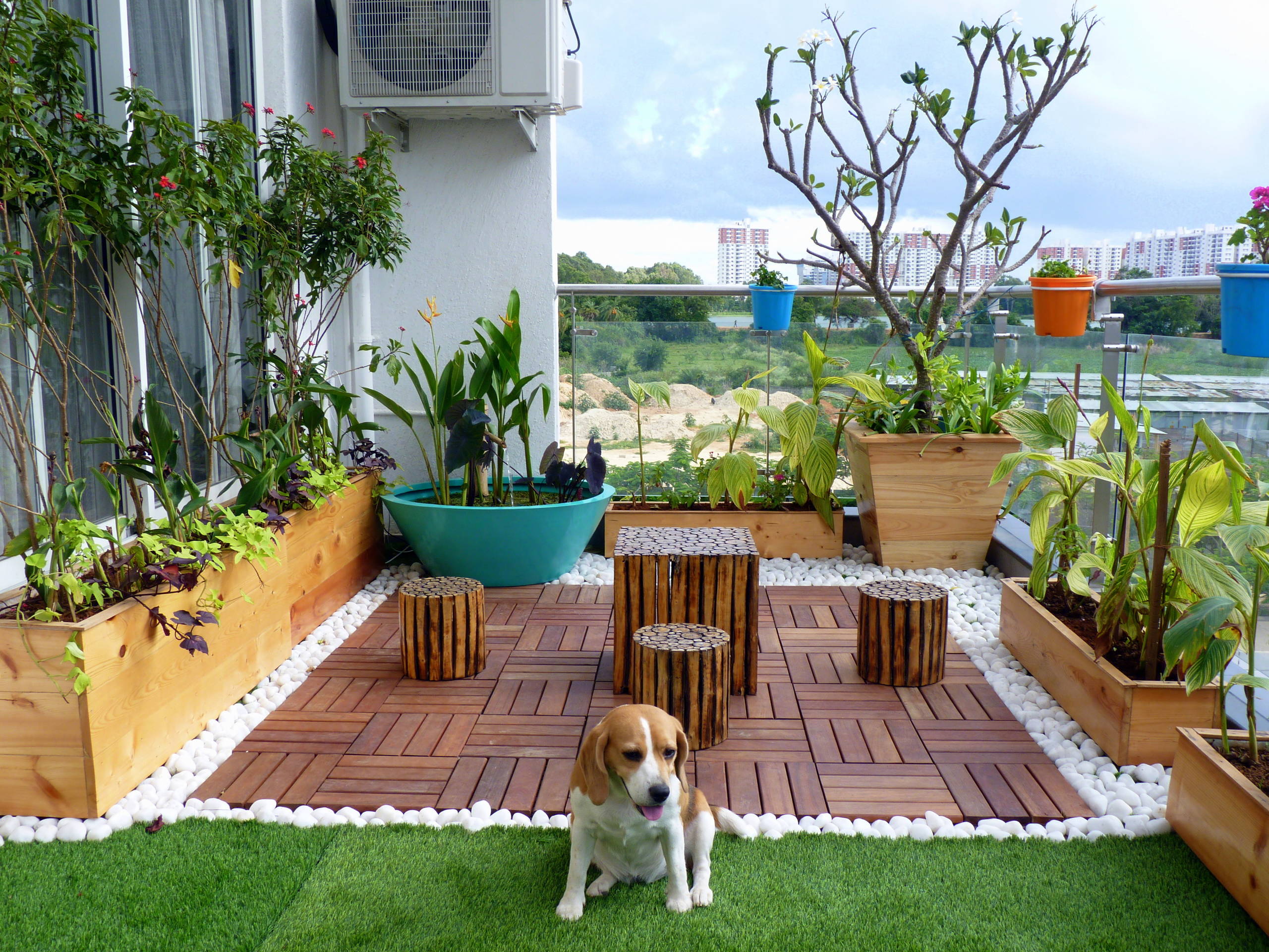 Rooftop Balcony Garden Landscape Delhi
